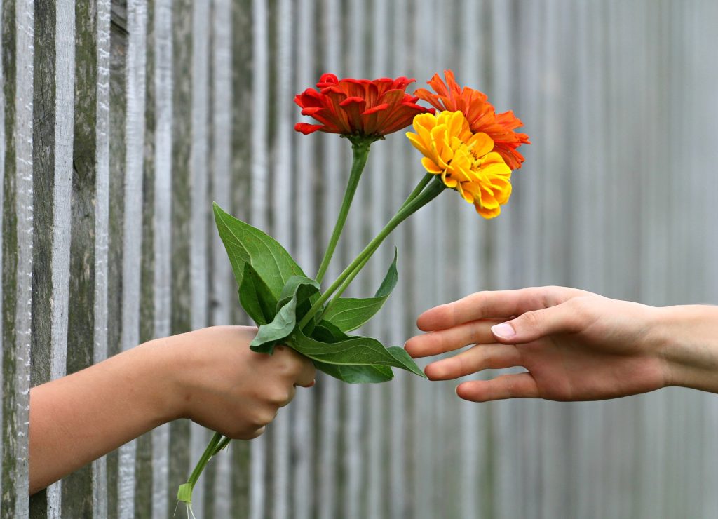 Piccoli gesti di gentilezza fanno stare bene noi e gli altri (Pixabay)