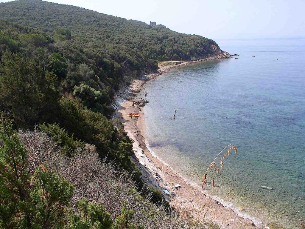 Parco dell'Uccellina (Panoramio, il direttore )