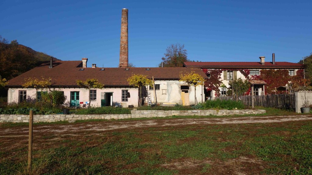Il Saurolo era un medicinale antisettico usato nella cura delle malattie della pelle (Patocchi-Zweifel)