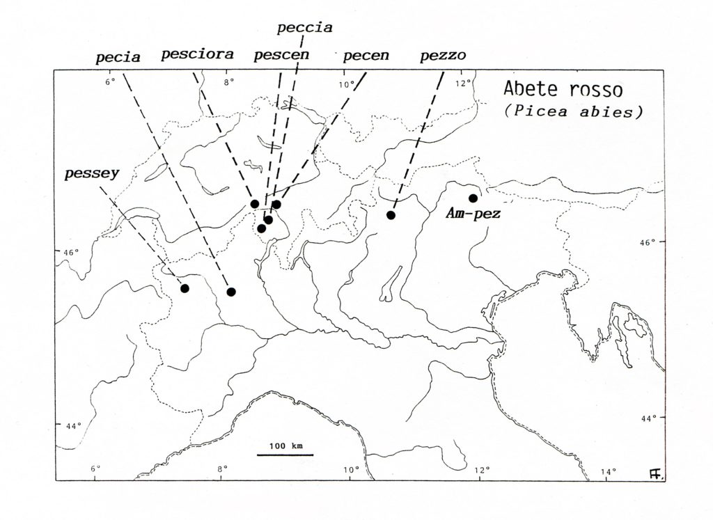 Diffusione nelle Alpi dei nomi riferentisi all’Abete rosso