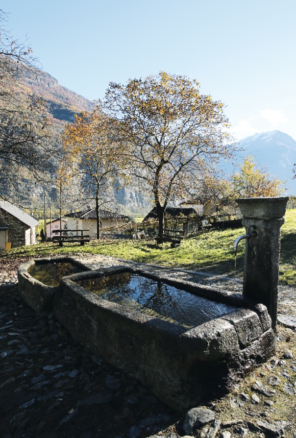Fontana a Personico (Rémy Steinegger)