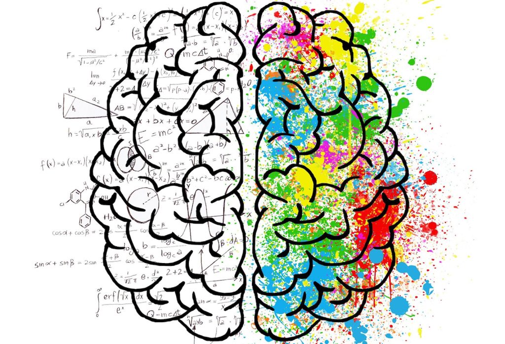 Anche le neuroscienze studiano le emozioni rilevando l’aspetto fisiologico, cioè le risposte del corpo e del cervello (Pixabay)