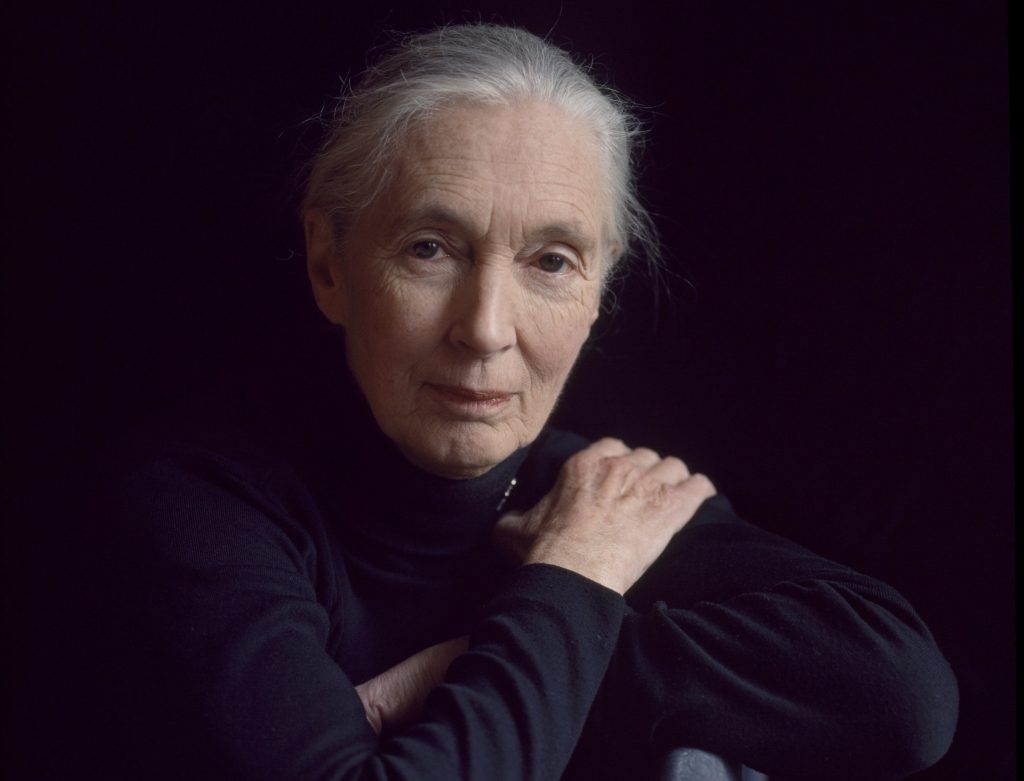 L’etologa e primatologa inglese Jane Goodall (Keystone)