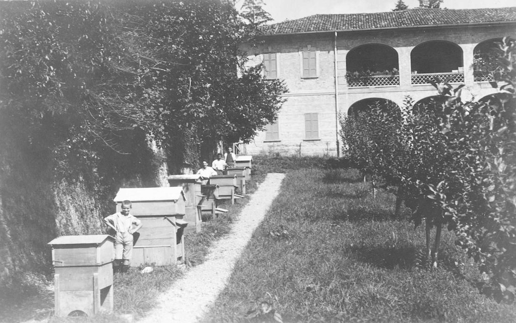 Mezzana, apiario, 1923 (Album fotografico della famiglia Fantuzzi)
