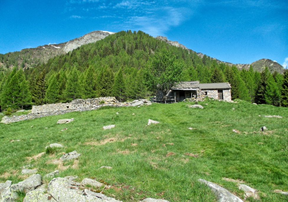 L'alpe Arami