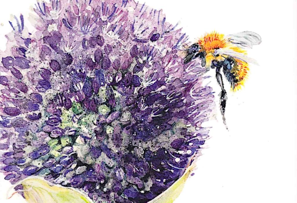 L'immagine usata per la copertina del libro di Paolo Pejrone