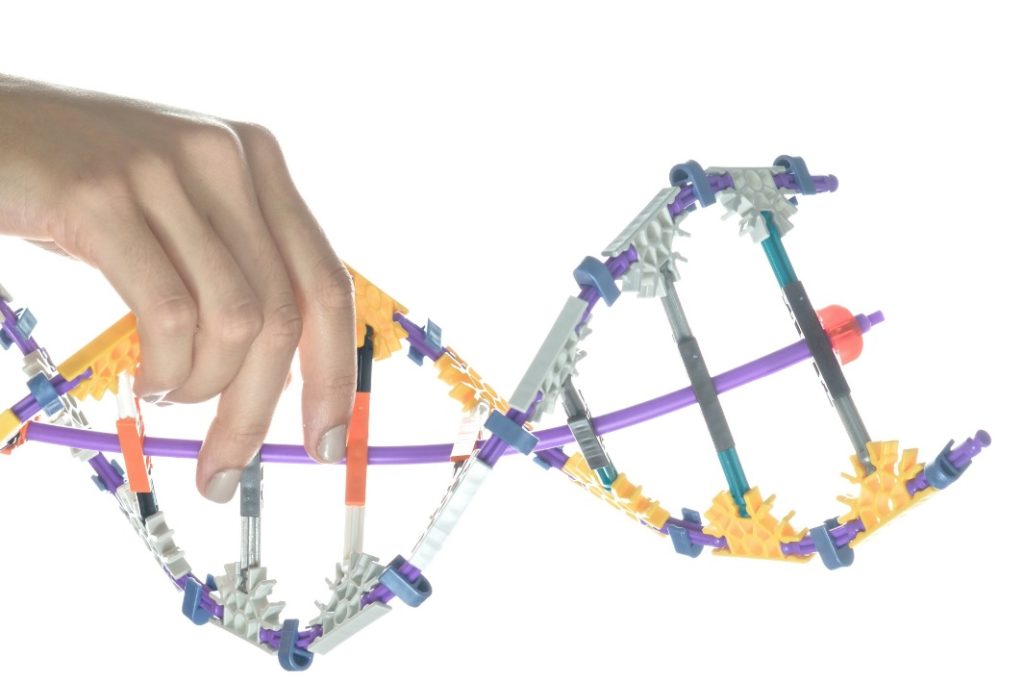 Oggi si sta passando dagli organismi geneticamente modificati a quelli geneticamente editati (Marka)