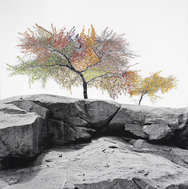 Stitched Landscapes, 2020; cucito su stampa fine art (© Stefania Beretta - Pro Litteris)