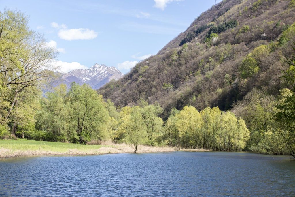 (Franco Banfi)