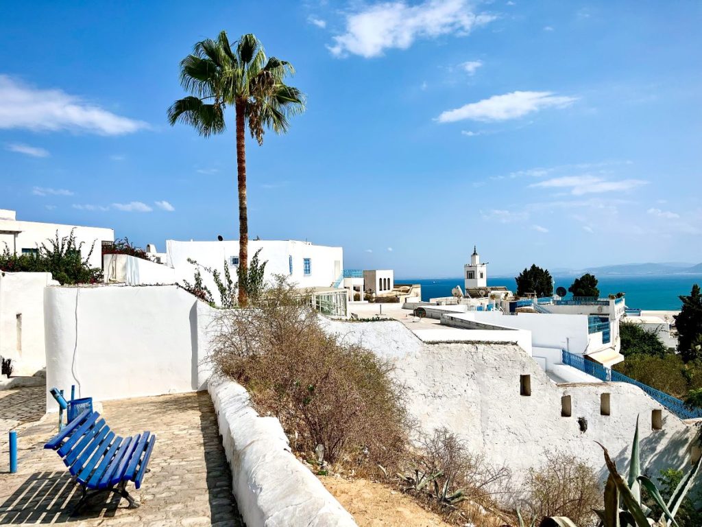 Sidi Bou Said è una cittadina costiera situata a circa 20 km dalla città di Tunisi 