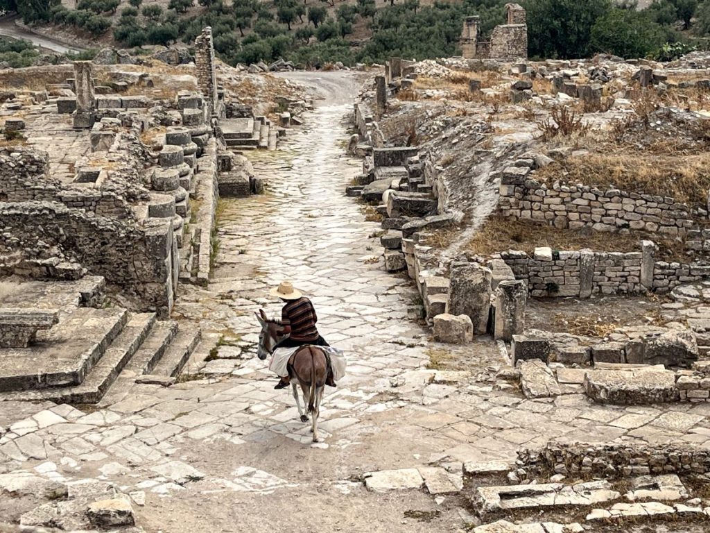 Thugga (Dougga), città dei Punici, dei Numidi e poi dei Romani. Un gioiello assai ben conservato, un salto nel tempo