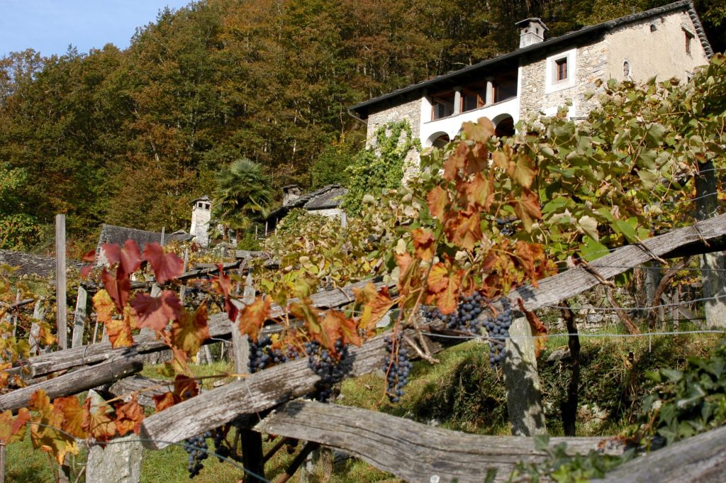 Casa di Niva (2011)