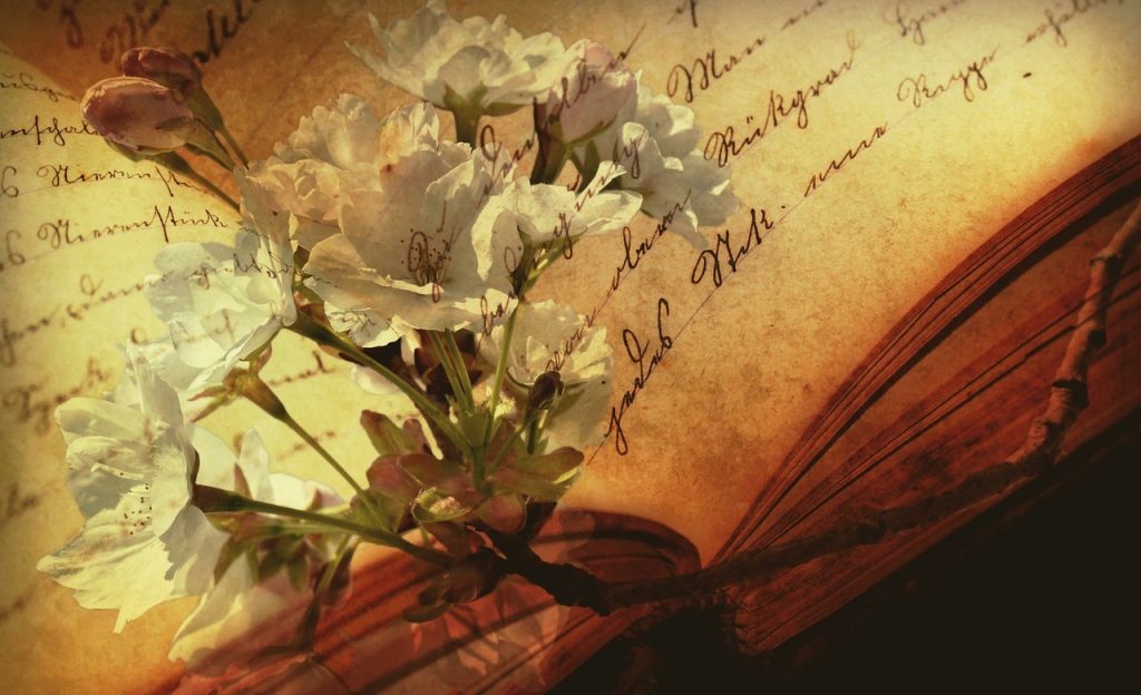 (Pixabay)