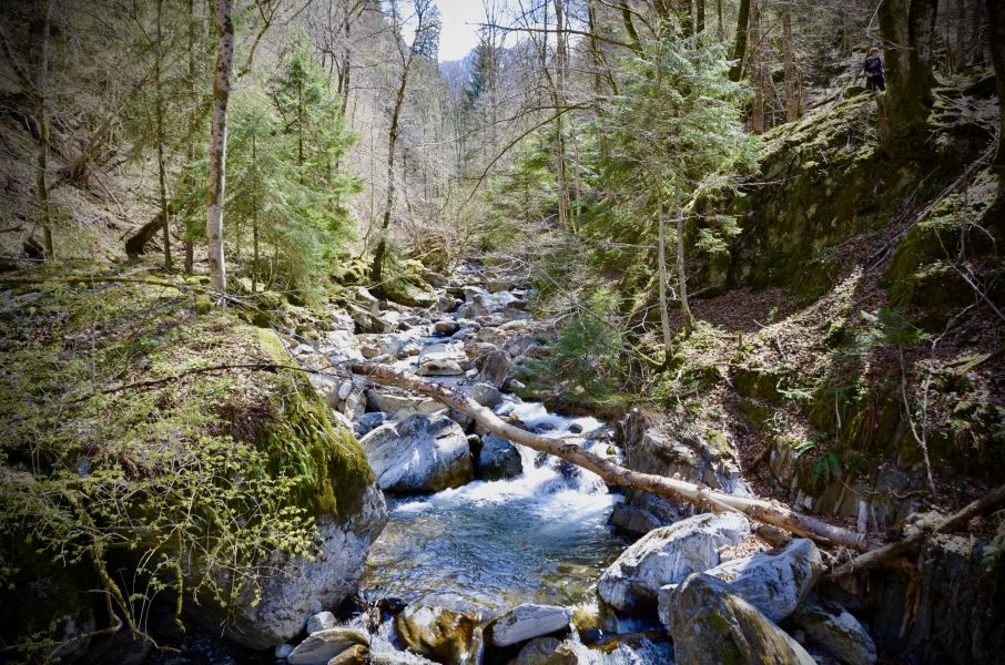 Una valle selvaggia