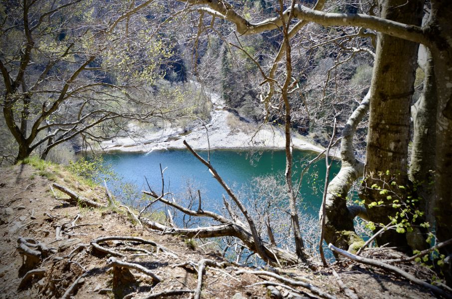 Uno scorcio di lago