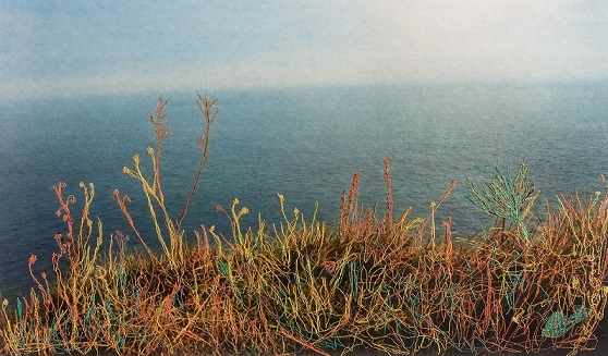 Stefania Beretta, Paesaggi improbabili #52, 2015 (© Stefania Beretta)