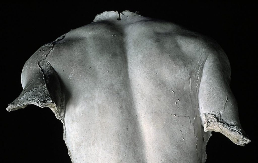 Vincenzo Vela, calco dal vero di una schiena virile, modello per lo Spartaco, ca. 1848, gesso, Ligornetto, Museo Vela (© Museo Vincenzo Vela – Foto Mauro Zeni)
