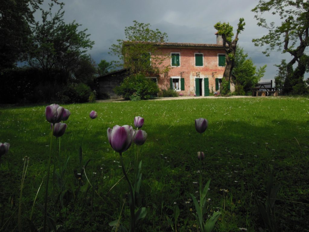 La casa di Goffredo Parise a Salgareda