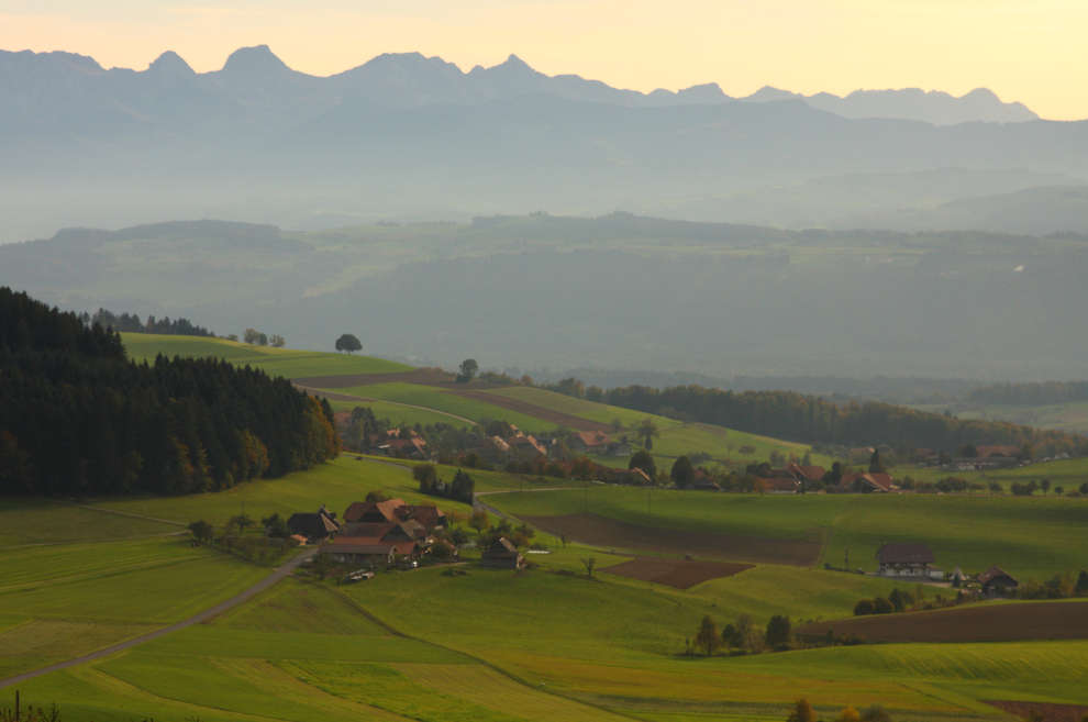 (agripedia.ch)