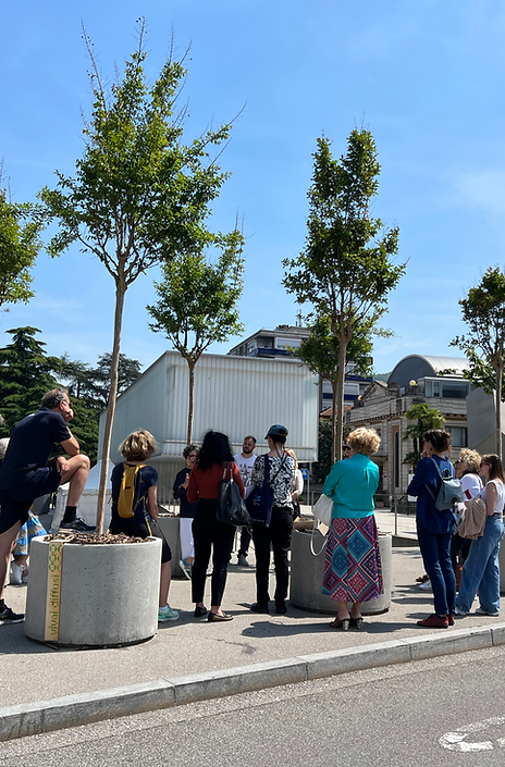 Alcuni alberi dell’istallazione «Vivai diffusi» a Chiasso (Foto di Matteo Spazzi)