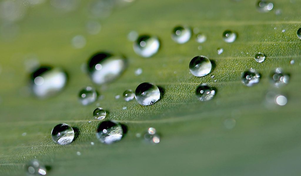 (Pixabay.com)