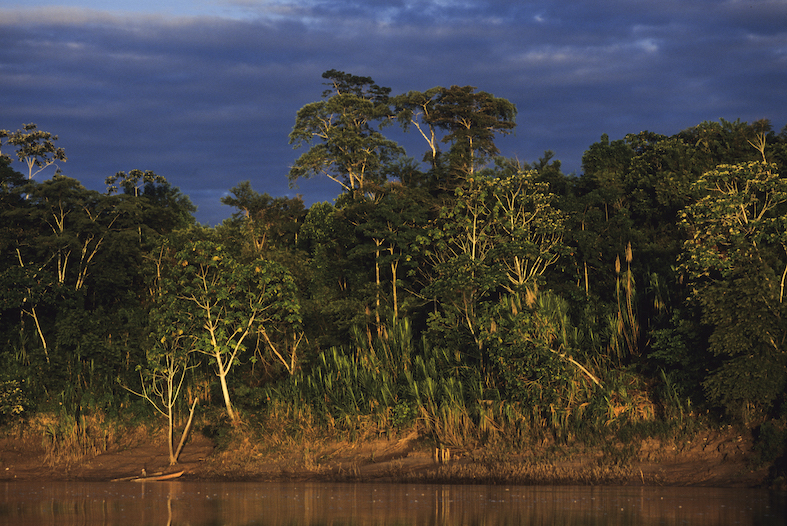 Rio Manù, fiume dell'Amazzonia peruviana
