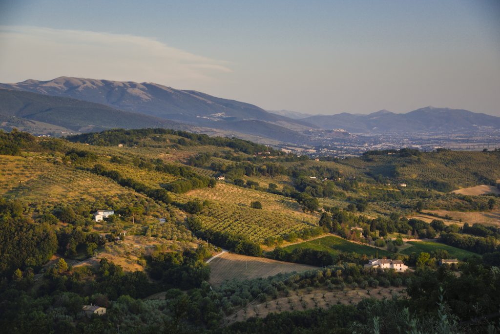 Spello e Collepino