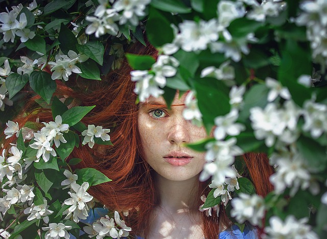 (Pixabay)