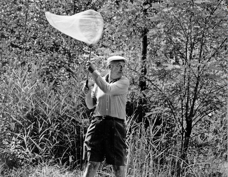 A caccia di particolari: Vladimir Nabokov in una foto scattata da Horst Tappe in Svizzera nel 1971 (Keystone)