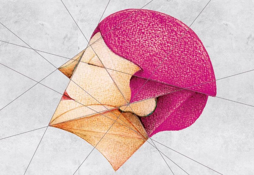 Un dettaglio della copertina del libro di Sara Farris