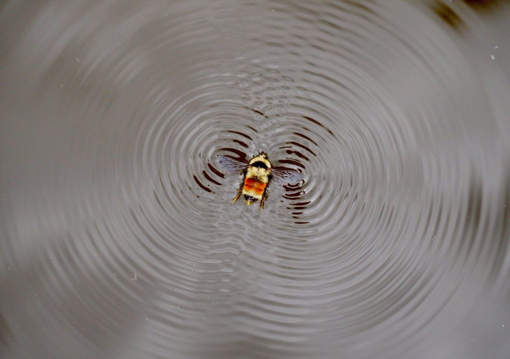 (Mike Lewinski/Unsplash)