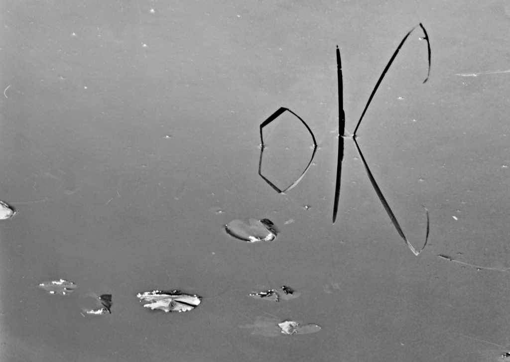 (© foto Giovanni Luisoni)
