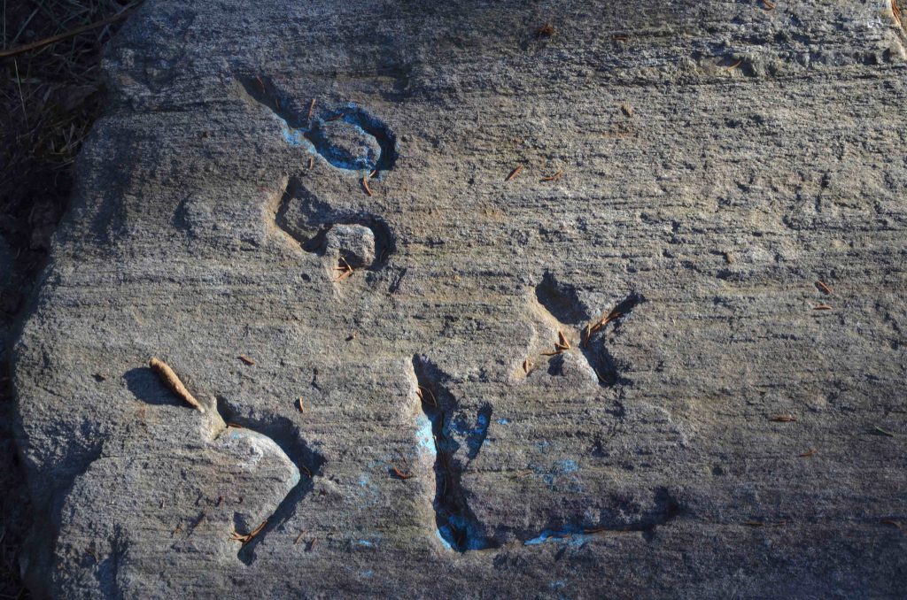 Segni più «recenti» (Romano Venziani)
