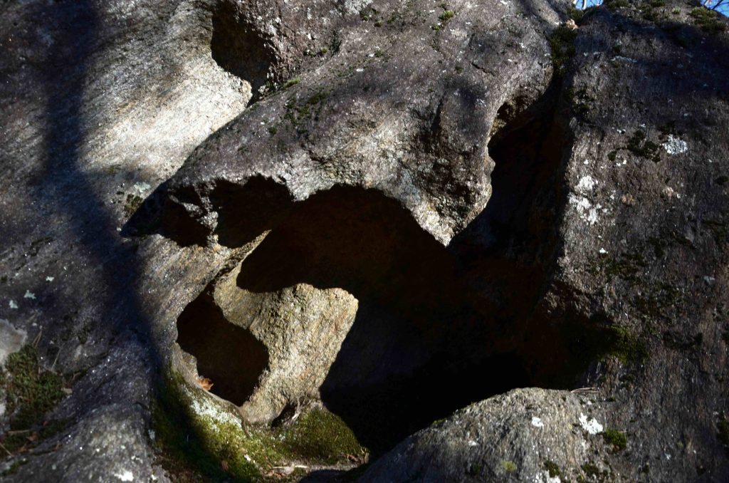 Testa e corna del maligno (Romano Venziani)