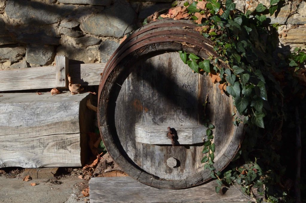 Tradizioni vinicole (Romano Venziani)