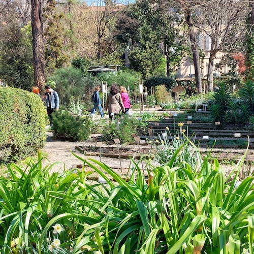 Giochi di luce nell’Orto Botanico di Brera. (Bernasconi)