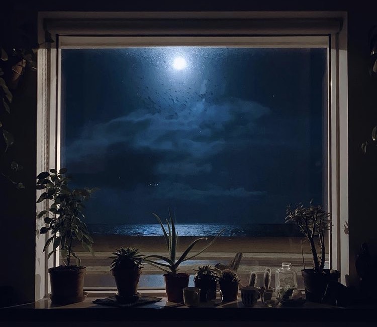 Weronika Maria Izdebska, Heim, Reykjavik 2020 (Weronika Maria Izdebska)