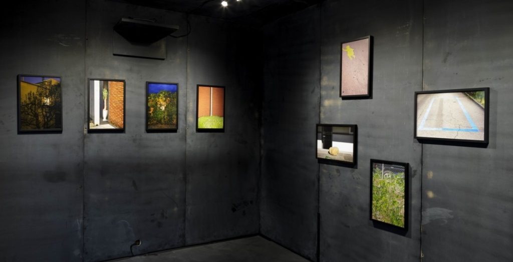 Veduta dell’esposizione in corso a Minusio