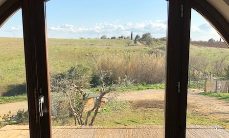 Lidia Ravera fa settecento giri intorno a ventiquattro ulivi