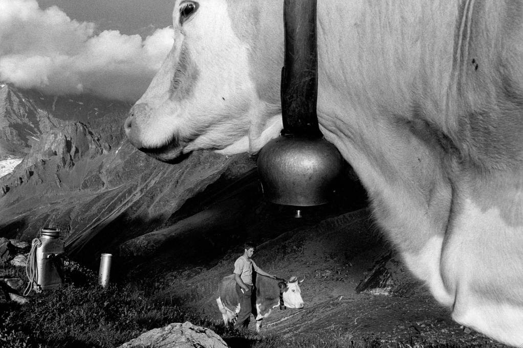 Didier Ruef, Contadini svizzeri, 1993, Lauterbrunnen (Didier Ruef)