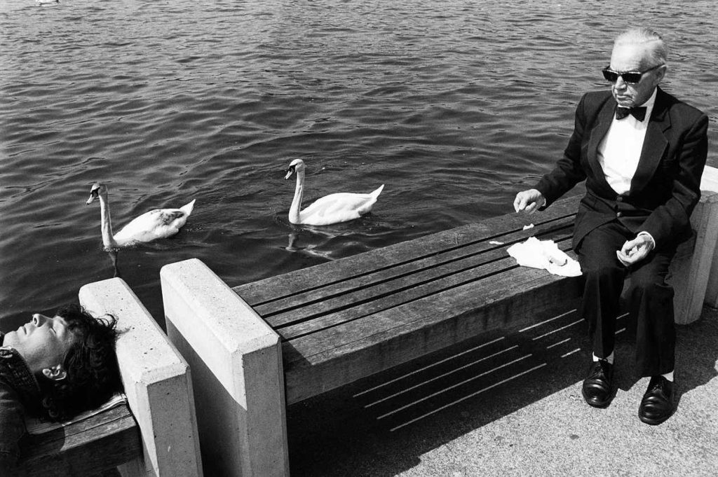Didier Ruef, «Tuxedo & Swans», 1988, Zurigo (Didier Ruef)