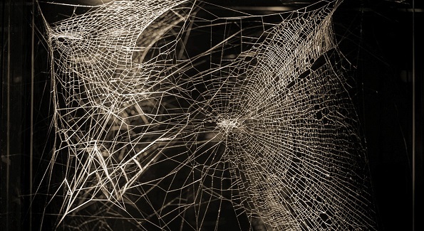 Tomás Saraceno, Web of at-tent(s)ion, 2020 (part.), (Court. the Artist; © foto Ela Bialkowska, OKNO Studio)
