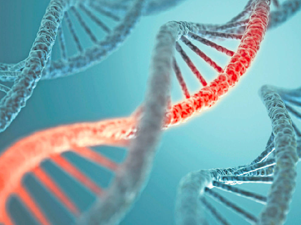 Lo chiamano anche «DNA spazzatura»: di una parte del codice genetico si scoprono solo oggi le funzioni (Marka)