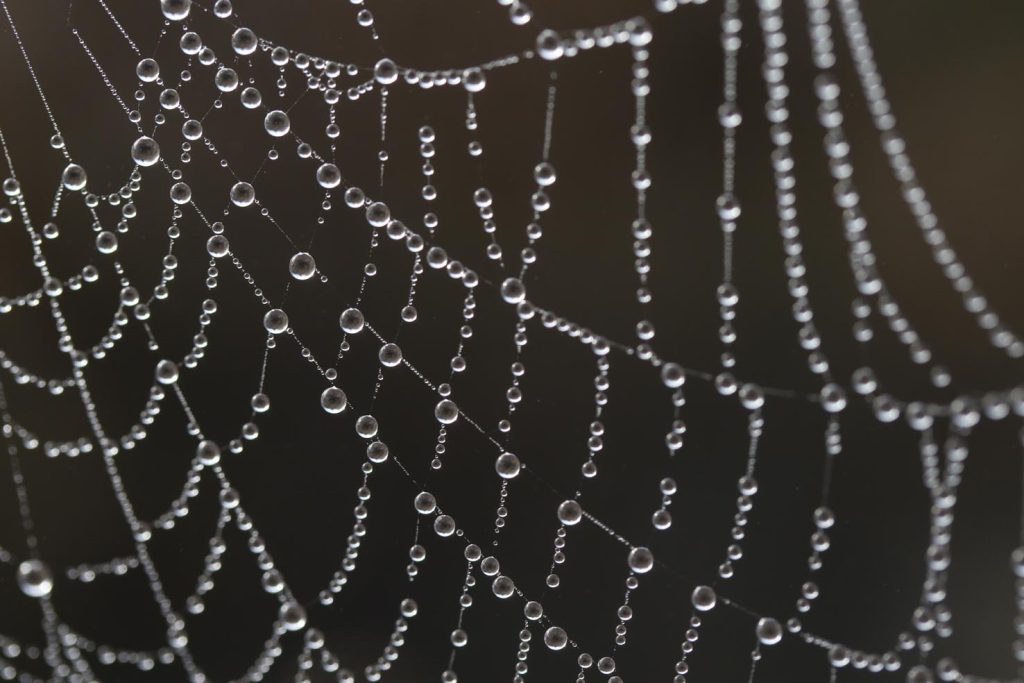 (Pixabay.com)