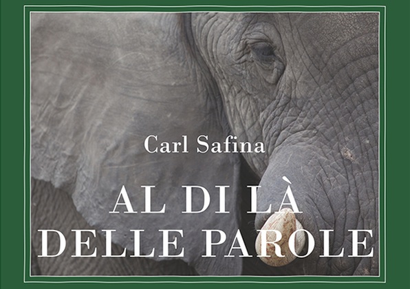 Un dettaglio della copertina del primo libro dedicato alla nuova collana adelphiana «Animalia»