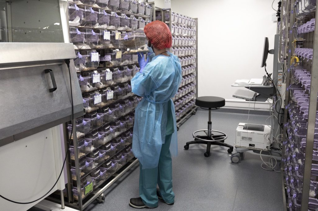 Cavie in un laboratorio di un centro di ricerca sul cancro a Losanna (Keystone)