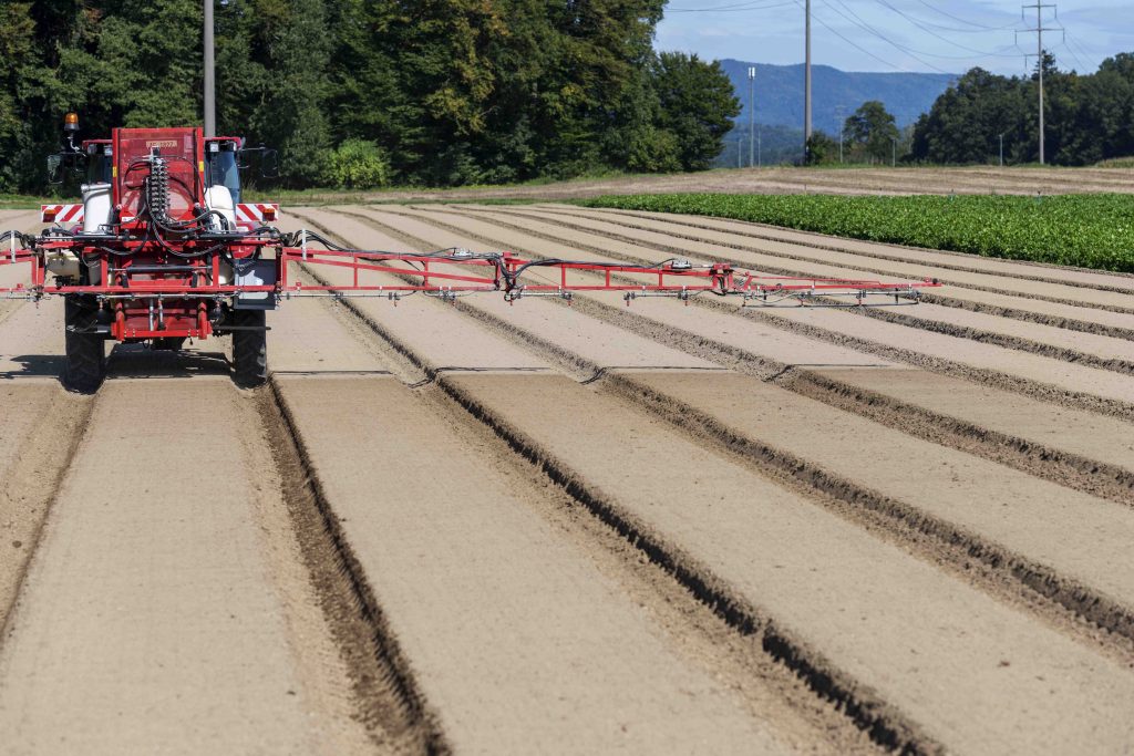 L’uso di pesticidi sintetici è stato a lungo sottovalutato, ora il dibattito si è fatto ampio e la politica è chiamata a dare risposte (Keytone)