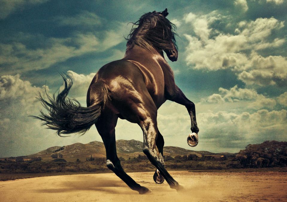 Western Stars, il nuovo lavoro di Bruce Springsteen