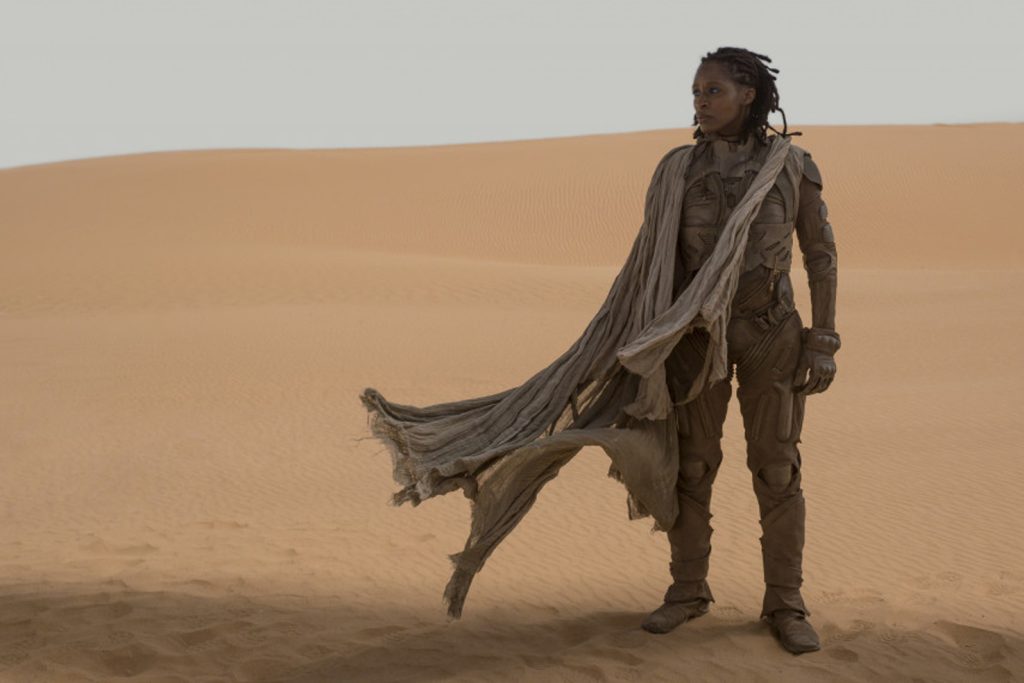 Una fremen dalla locandina di Dune di Denis Villeneuve. (www.movies.com - Warner Bros)