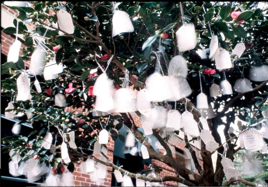 Yoko Ono, «Wish Tree», 1996, veduta dell’installazione, Anderson Gallery, Richmond, Virginia, 1996